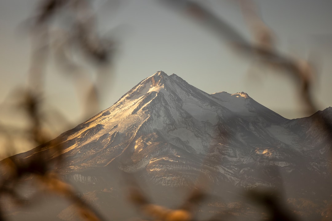 The Art of Adventure: Navigating the World on a Shoestring Budget